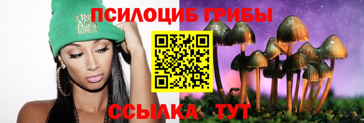 Галлюциногенные грибы GOLDEN TEACHER  Вход с VPN  Лесозаводск 